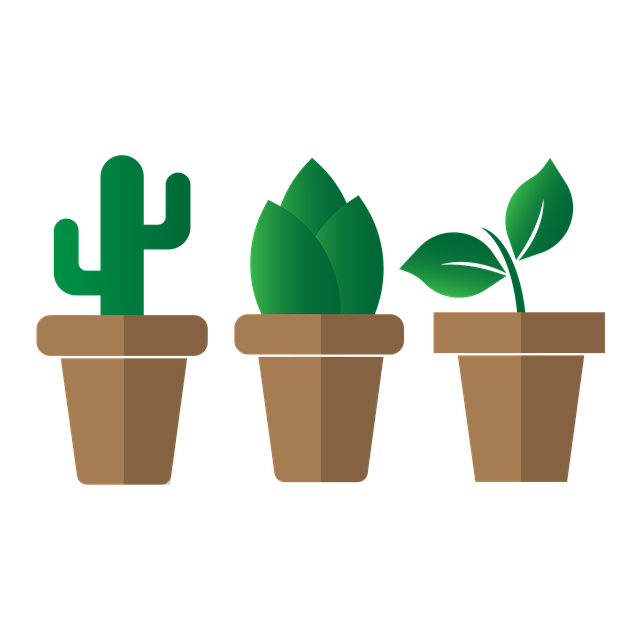 Free cactus plant nature illustration