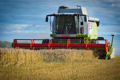 Free Harvest Agriculture photo and picture
