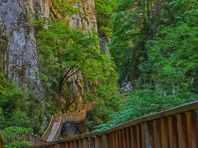 Free Nature Canyon photo and picture