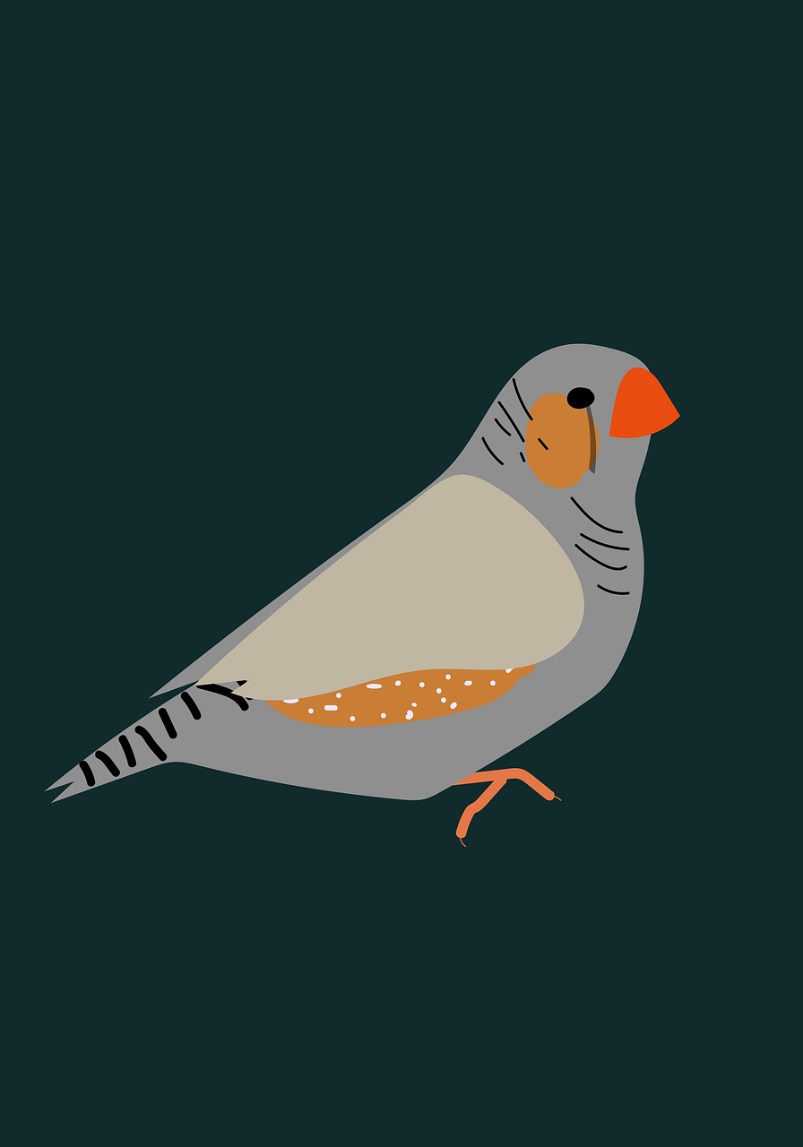 Download Finch, Bird, Animal. Royalty-Free Stock Illustration Image ...
