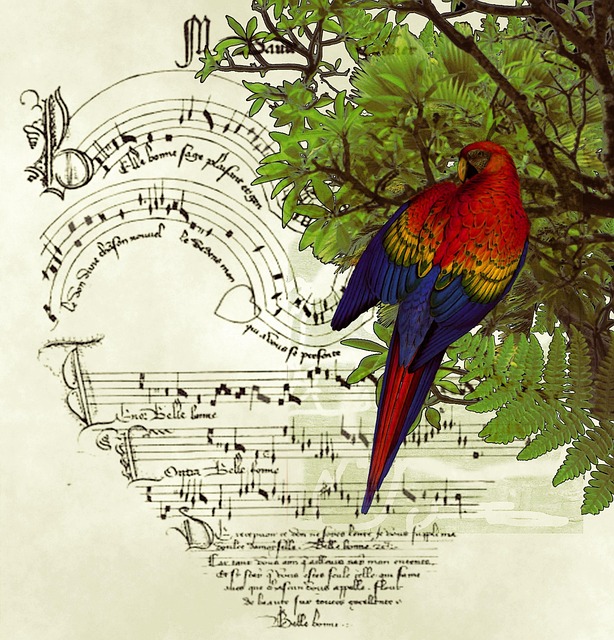 Free Bird Singing photo and picture