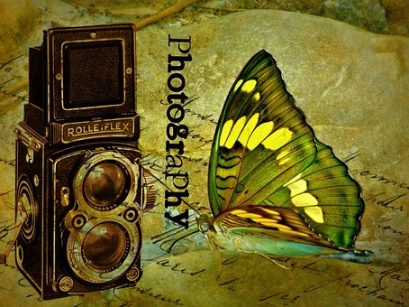 Free Photography Camera photo and picture