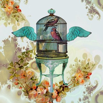 Free Bird Cage illustration and picture