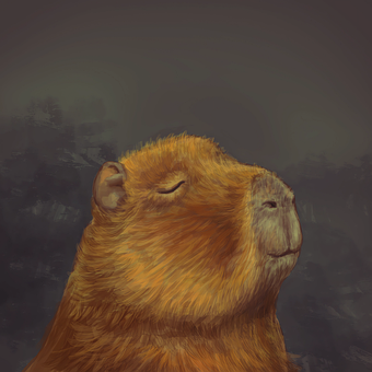 Capybara, Gnavere, Natur, Søvn, Hvile