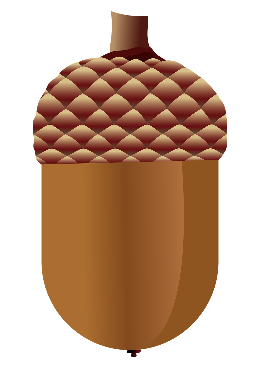 Download Autumn Acorn Fall Royalty-Free Stock Illustration Image - Pixabay