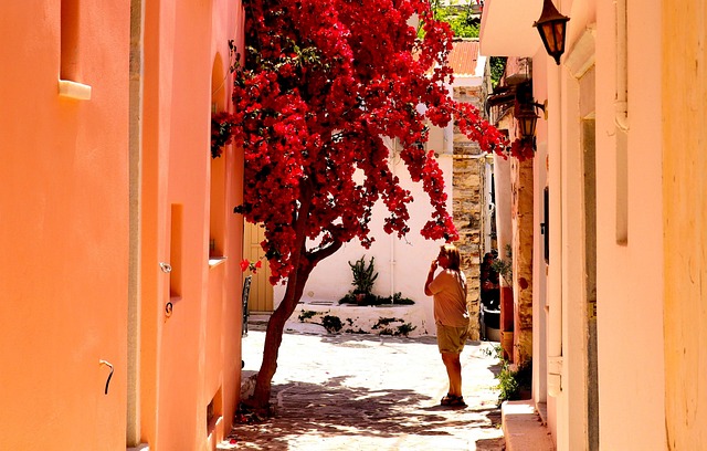 Free Greece City photo and picture