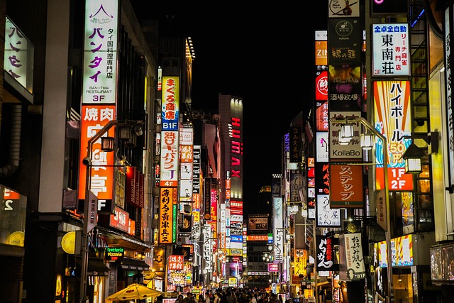 Free Tokyo Night photo and picture