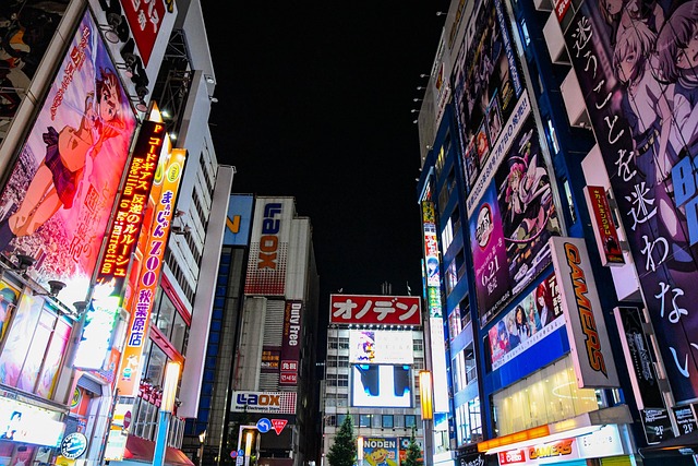 Free Akihabara City photo and picture