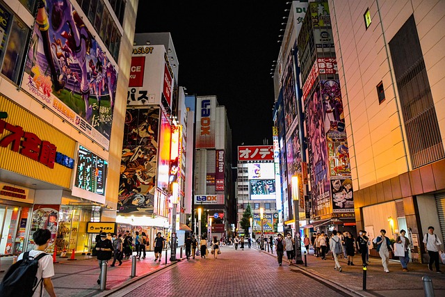 Free Akihabara City photo and picture