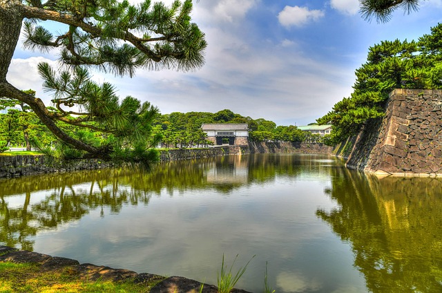 Free Tokyo Japan photo and picture