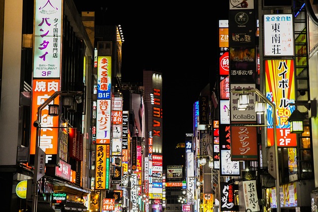 Free Tokyo Night photo and picture