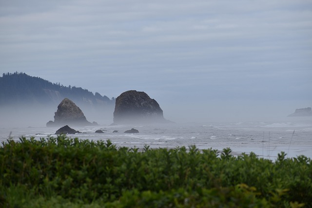 Free Oregon Coast photo and picture