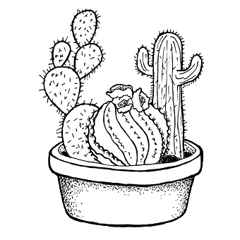 Cactus, Planten, Handgemaakt, Tekening
