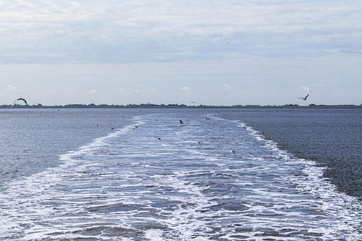 Free Waves Spiekeroog photo and picture