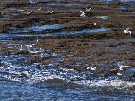 Free Spiekeroog Beach photo and picture