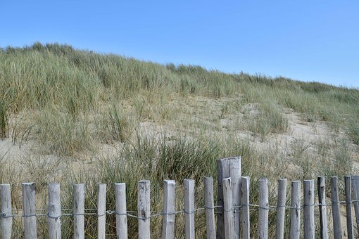 Free Dune Sand photo and picture