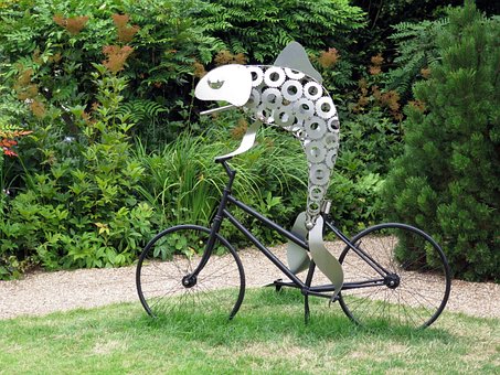 Free Grass Bike photo and picture