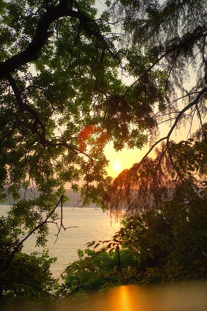 Free Sunset View photo and picture