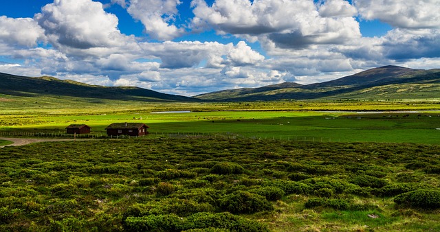 Free Landscape Mountain photo and picture