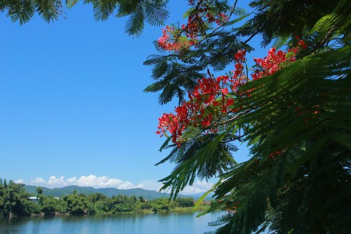 Free Huong River River photo and picture