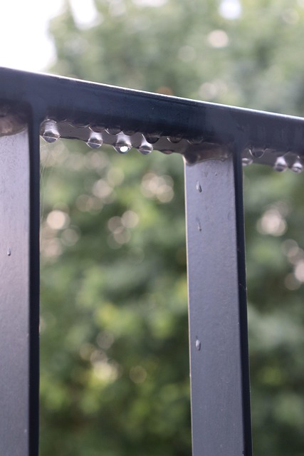 Free Rain Raindrop photo and picture