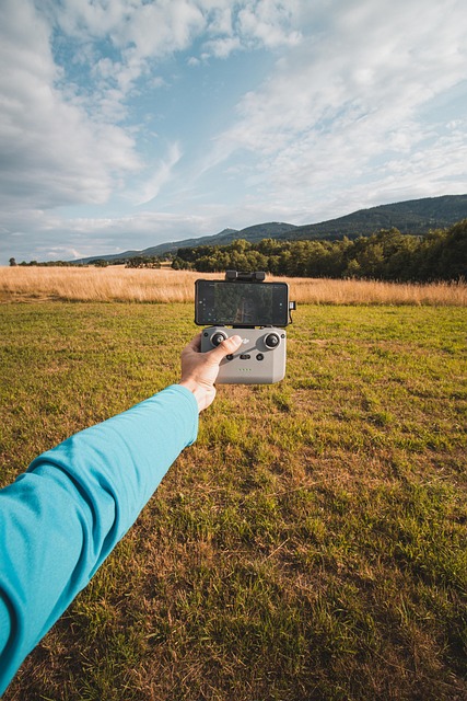 Dji, Drohne, Natur, Bäume, Landschaft