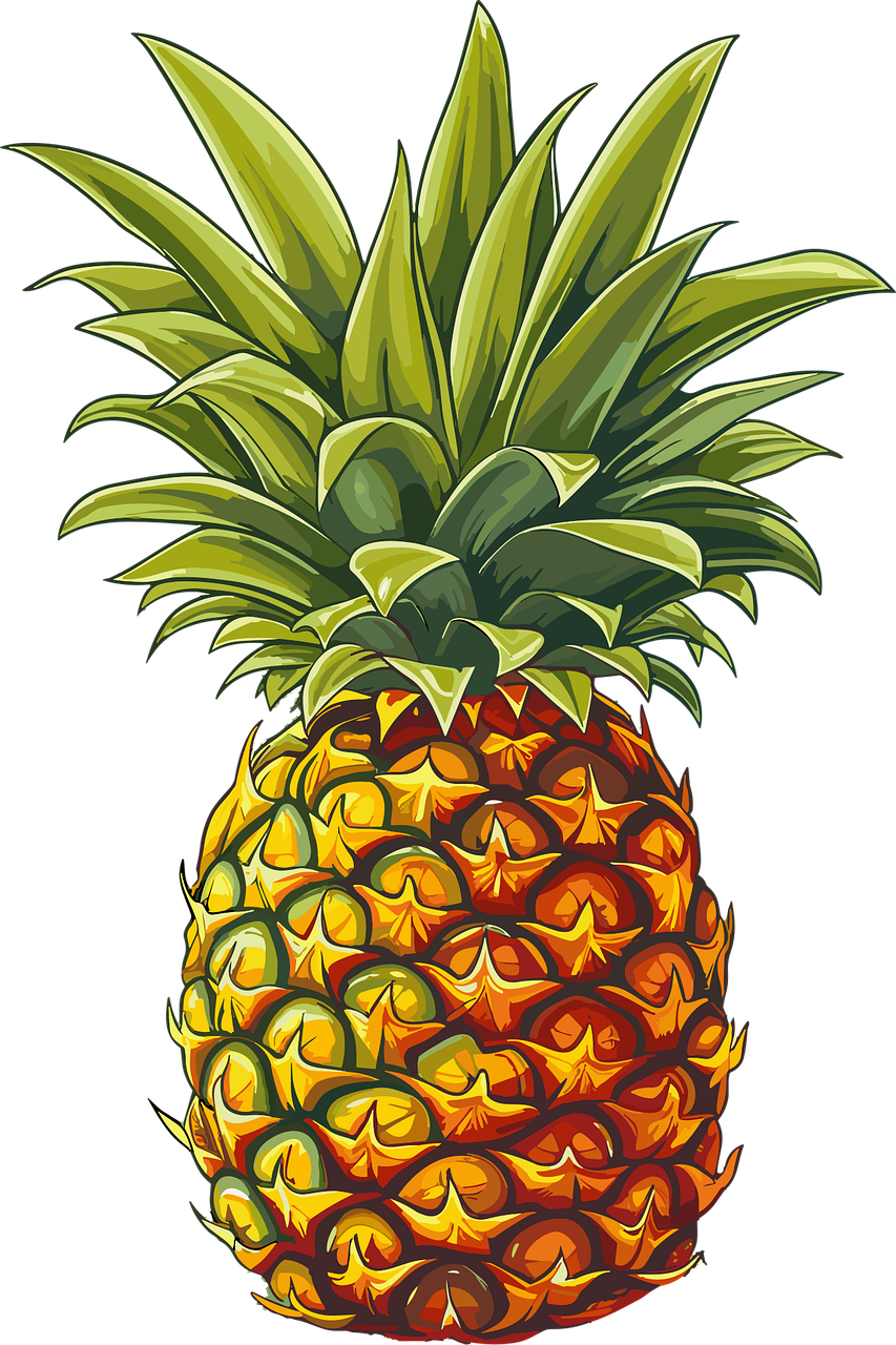 Pineapple Vector Free Download Summer Fruits For Healthy Lifestyle Pineapple Vector Free Download Summer Fruits For Healthy Lifestyle