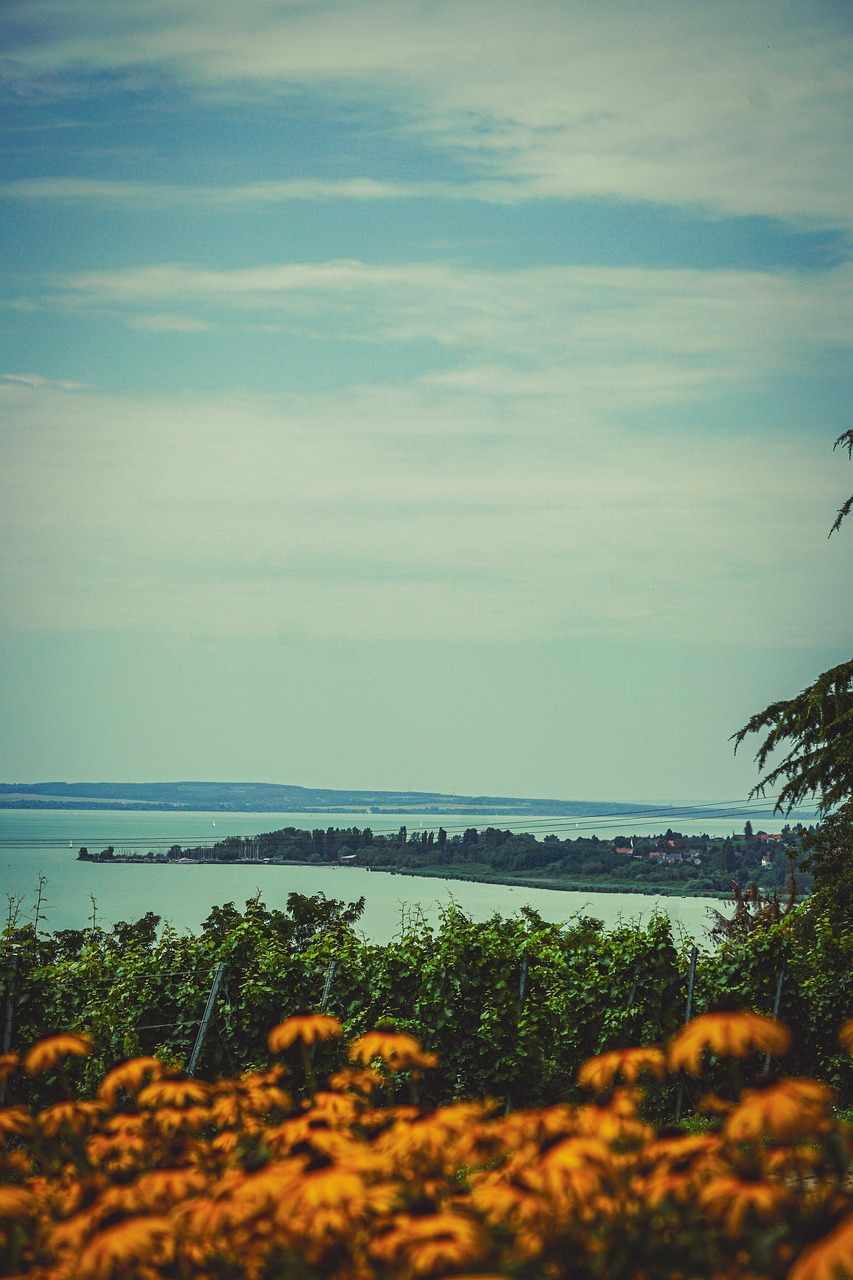 Lake Balaton Hungary Summer Free photo on Pixabay Pixabay