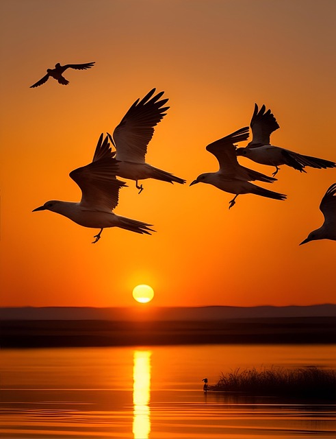 Ai Gegenereerd, Vogels, Zonsondergang