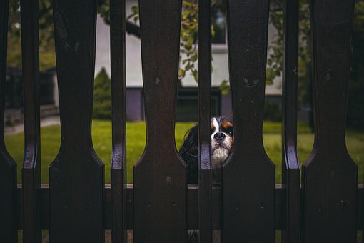 Free Street Photography Tallinn photo and picture