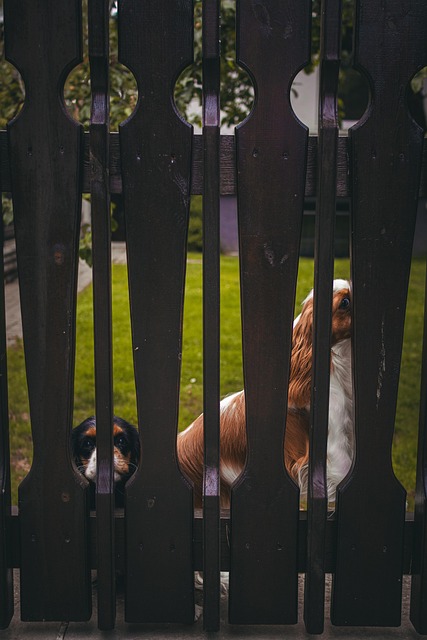 Free Street Photography Tallinn photo and picture