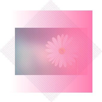 Floare, Roz, Verde, Decor, Natura, Alb