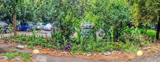 Free Kiev Yard photo and picture