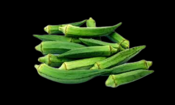 Free Green Nature illustration and picture