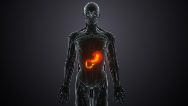 Free Liver Treatment illustration and picture