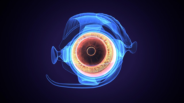 Free smokey eye eyeshadow illustration
