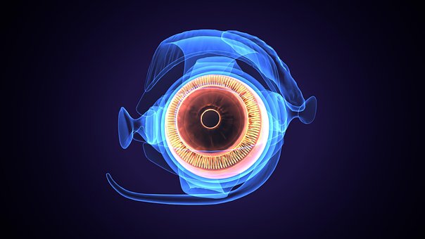 Free Smokey Eye illustration and picture