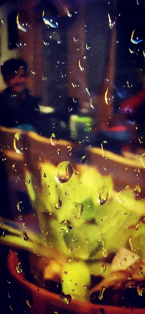 Free Rain Drop photo and picture