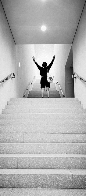 Free Stairway Steps photo and picture