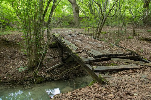 Free Water River photo and picture