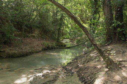 Free Water River photo and picture