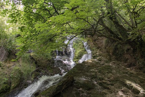 Free Water River photo and picture