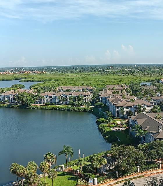 Free Tampa Florida Landscape illustration and picture