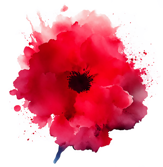 Free poppy red flower illustration