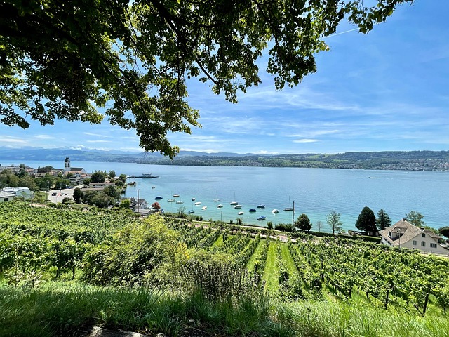 Free Miles Switzerland photo and picture