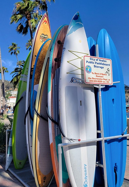 Surf, Ocean, Bord, Avalon, Catalina