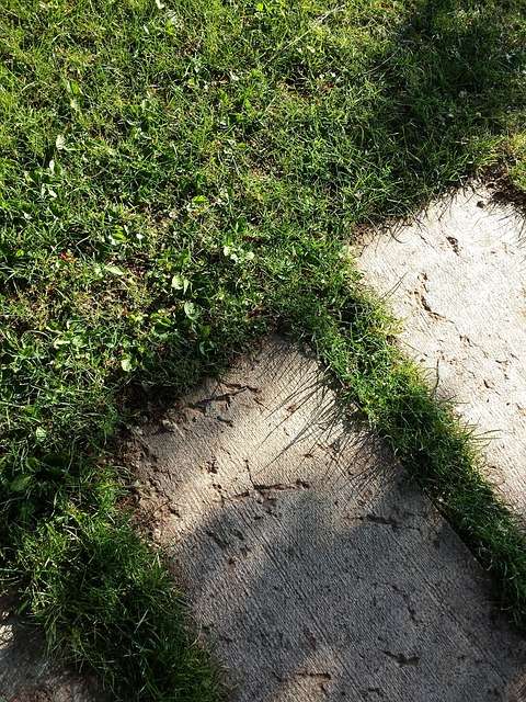 Gras, Natur, Rasen, Garten, Grün, Steine