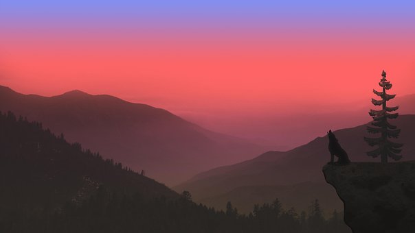 Free Wolf Howling illustration and picture