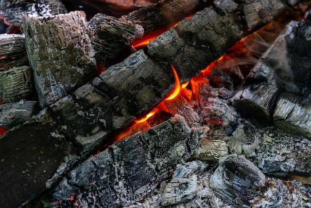 Koster, Kohlen, Brennholz, Flamme