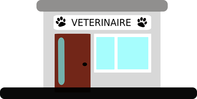 Veterinario, Bâtiment, Arquitectura